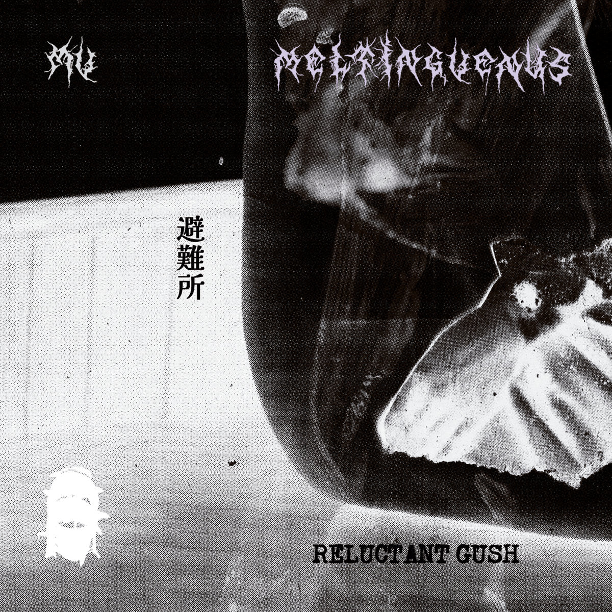 Meltingvenus - Reluctant Gush (Cassette)