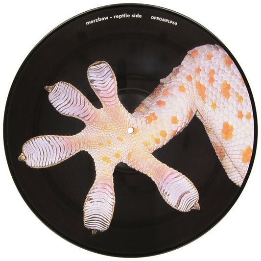 Merzbow / Band Of Pain – The Celebration Of The Lizard / March Of The Myriapoda (Picture Disc LP)